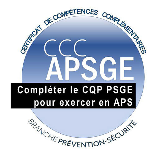 logo du del a formation SA PRATIQUE DE L'ACTIVITE DE SECURITE DES GRANDS<br />
EVENEMENTS POUR EXERCER L'ACTIVITE<br />
D'AGENT DE PREVENTION ET DE SECURITE